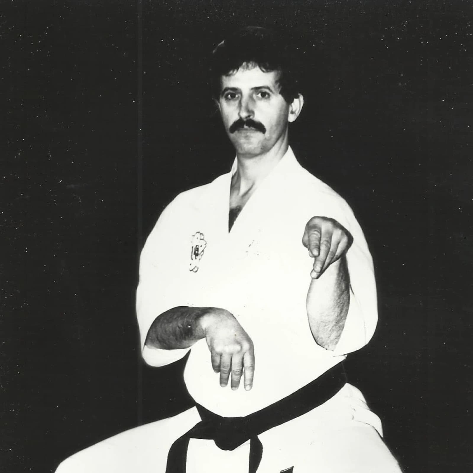 Logótipo de Academia de Karate de Viseu